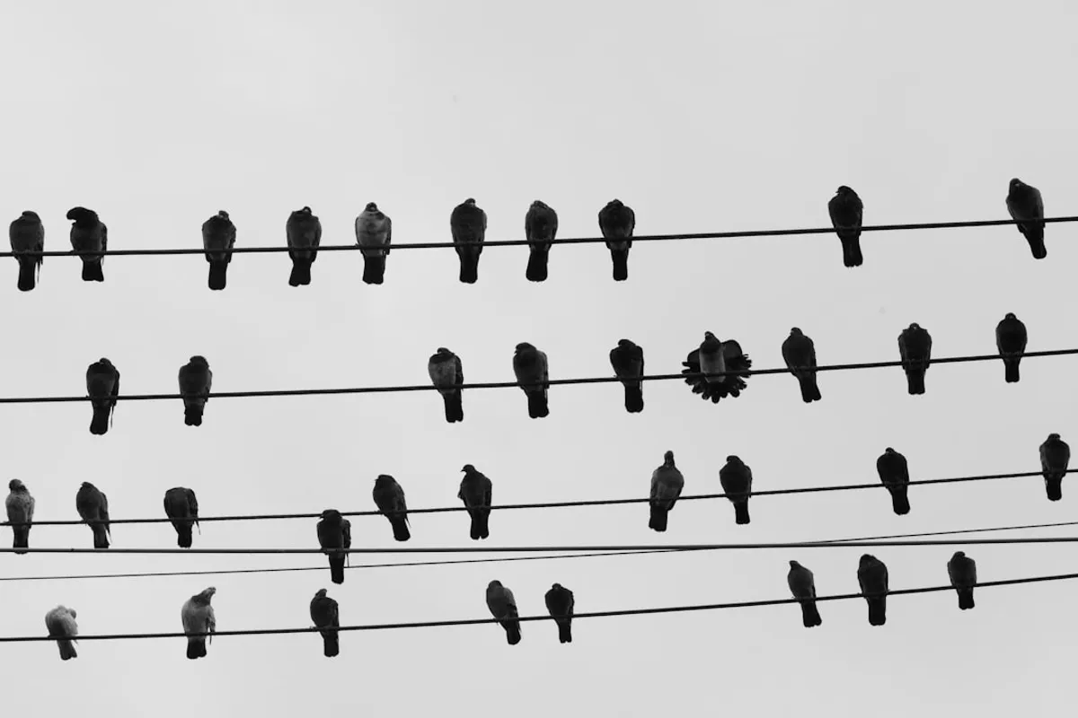 Diagram illustrating Dead Letter Queues for an article by Atlanta based Software Engineer, Namir Ahmed.