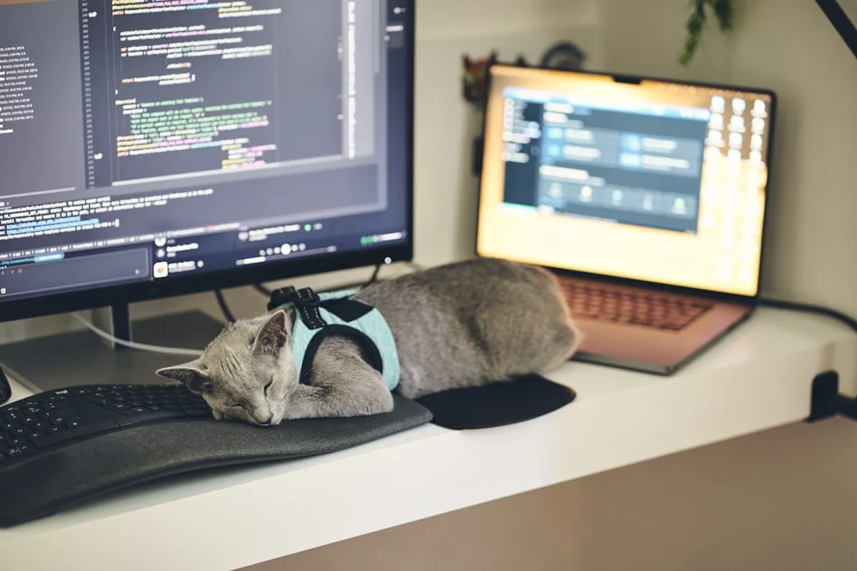 Custom React Hooks testing diagram by Atlanta based Software Engineer, Namir Ahmed